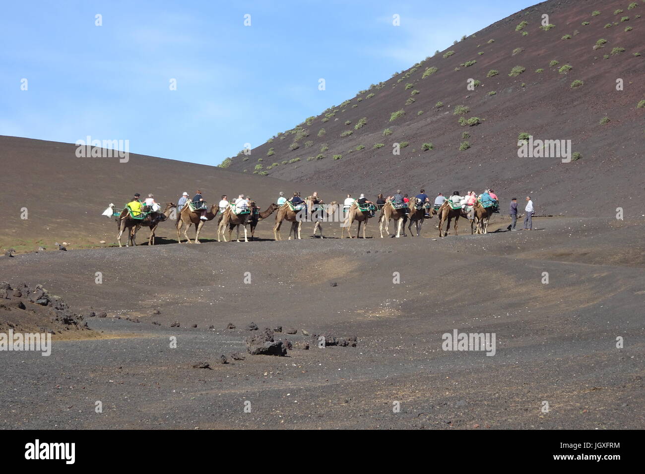 Touristen auf Dromedaren, einhoeckriges Kamel (Camelus dromedarius) im Nationalpark Timanfaya, Lanzarote, Kanarische Inseln, Europa | Tourists on drom Stock Photo