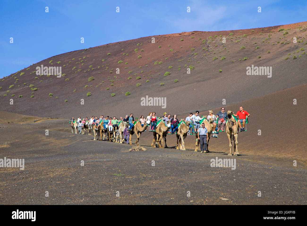 Touristen auf Dromedaren, einhoeckriges Kamel (Camelus dromedarius) im Nationalpark Timanfaya, Lanzarote, Kanarische Inseln, Europa | Tourists on drom Stock Photo