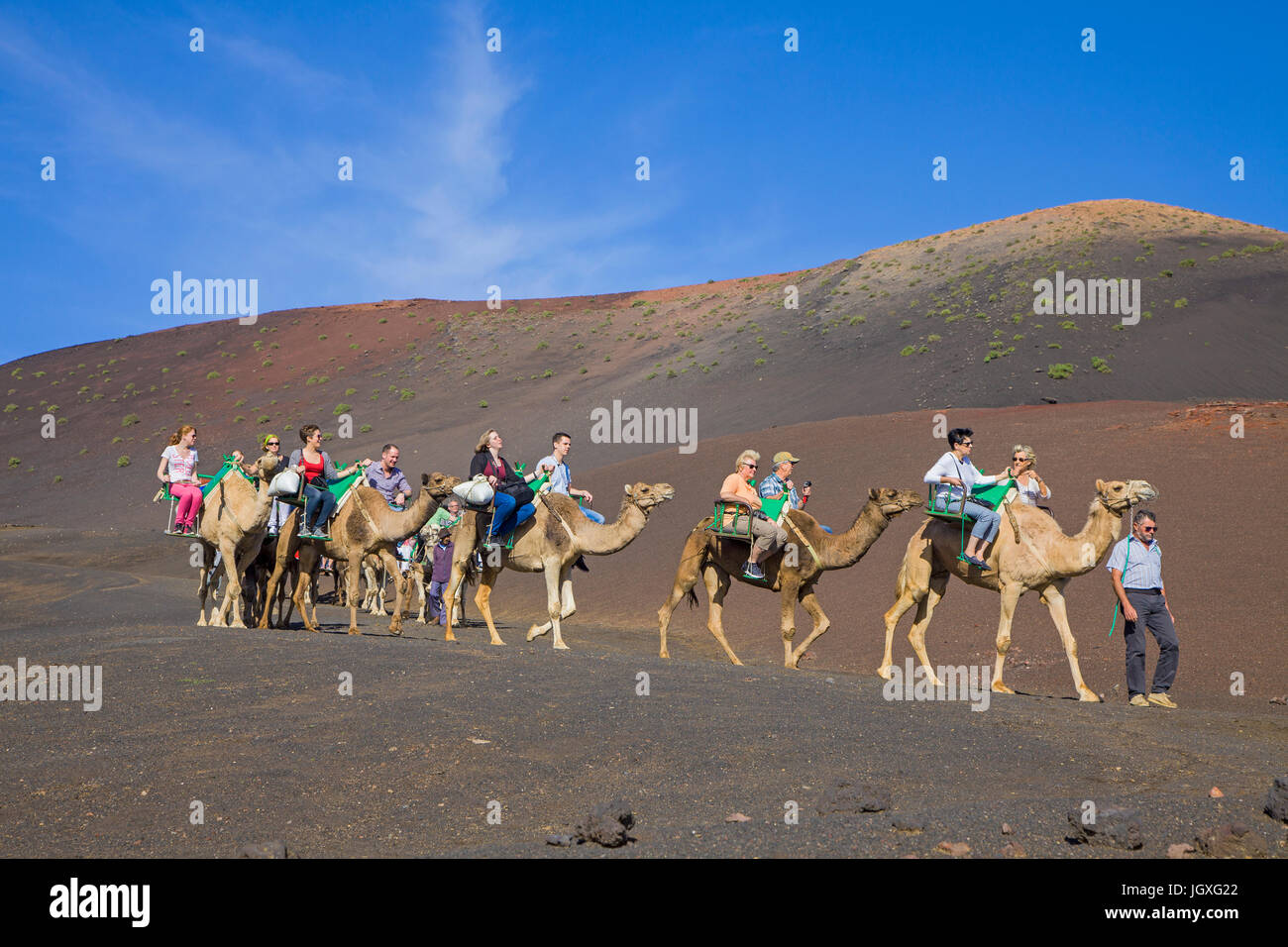 Touristen auf Dromedaren, einhoeckriges Kamel (Camelus dromedarius) im Nationalpark Timanfaya, Lanzarote, Kanarische Inseln, Europa | Tourists on drom Stock Photo