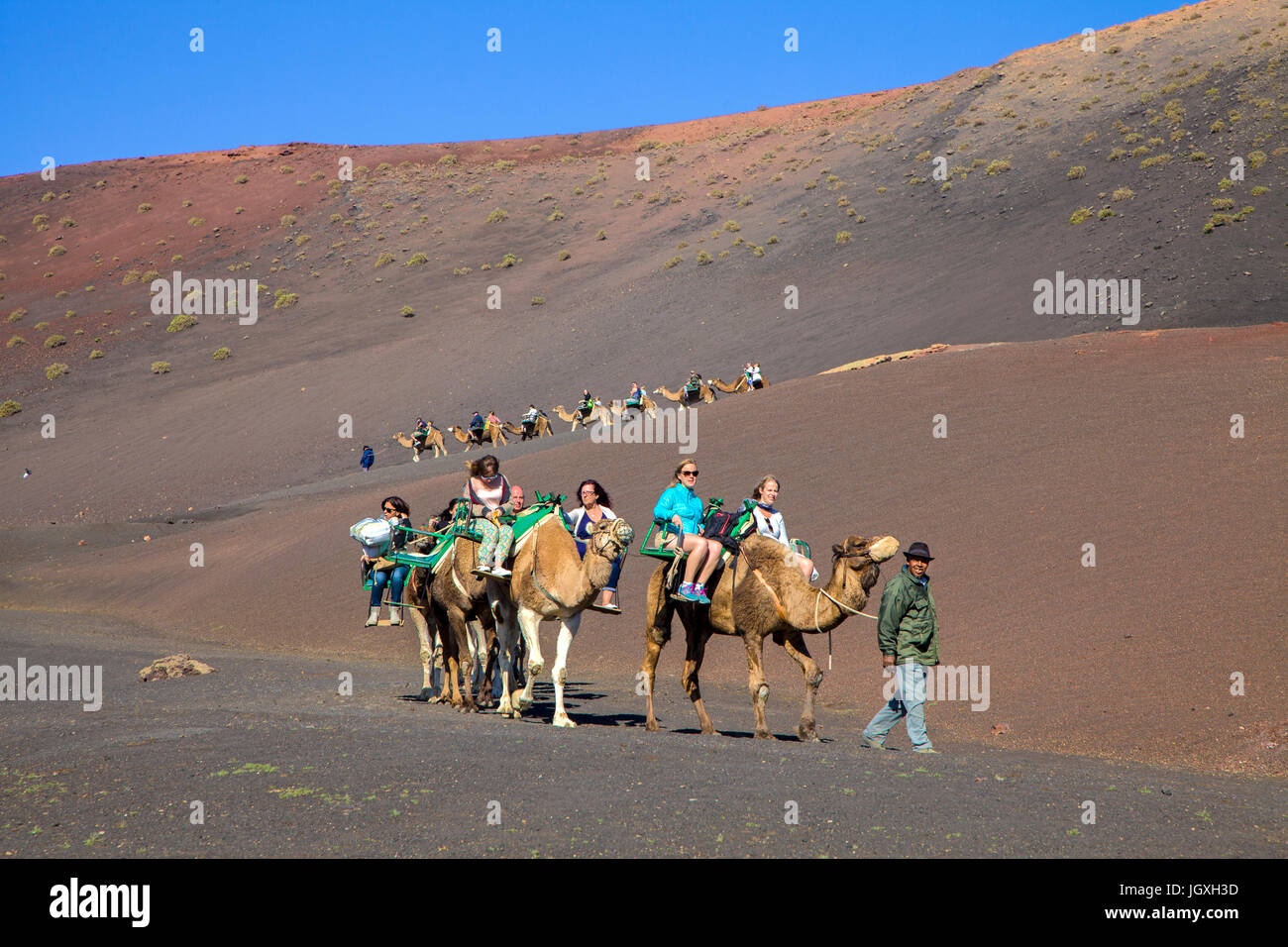 Touristen auf Dromedaren, einhoeckriges Kamel (Camelus dromedarius) auf den Feuerbergen, Montanas del Fuego, Nationalpark Timanfaya, Lanzarote, Kanari Stock Photo