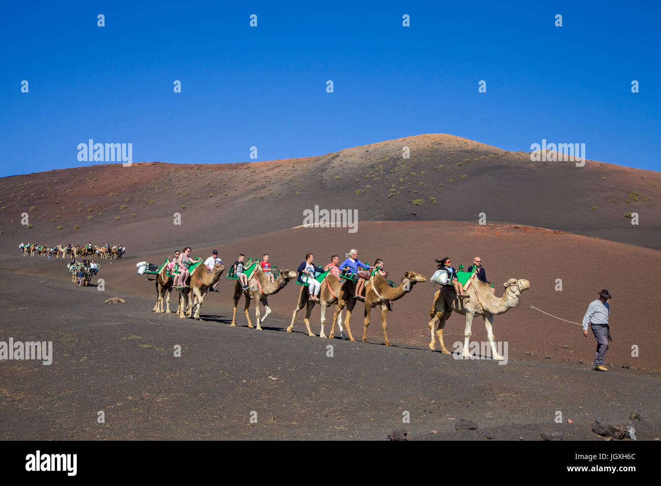 Touristen auf Dromedaren, einhoeckriges Kamel (Camelus dromedarius) auf den Feuerbergen, Montanas del Fuego, Nationalpark Timanfaya, Lanzarote, Kanari Stock Photo