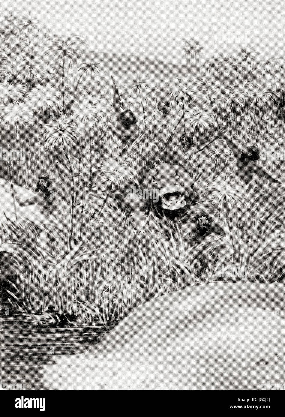 Early Egyptians hunting hippopotamus.   From Hutchinson's History of the Nations, published 1915. Stock Photo