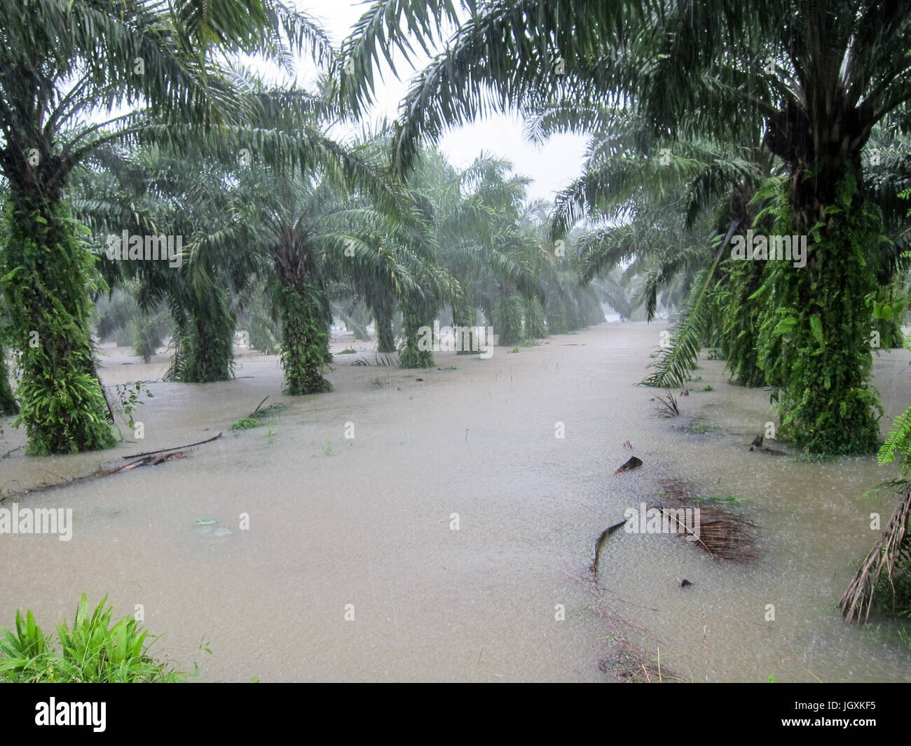 Flooded road during the monsoon season in Phang Nga, Thailand Stock Photo