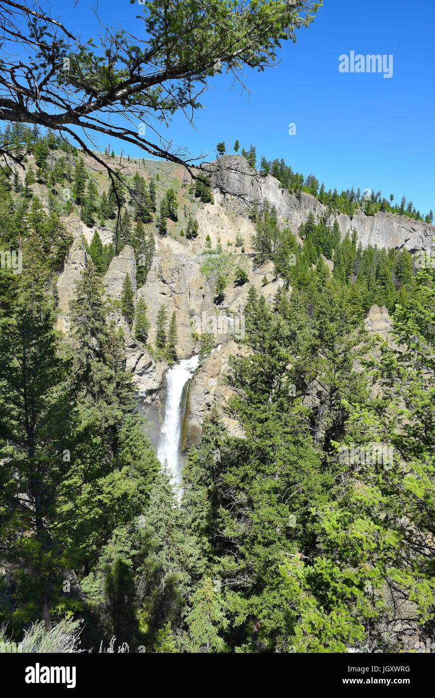Tower Fall in Yellowstone National Park plunges 132 feet into Tower Creek. The name comes from the rock pinnacles at the top of the waterfall. Stock Photo