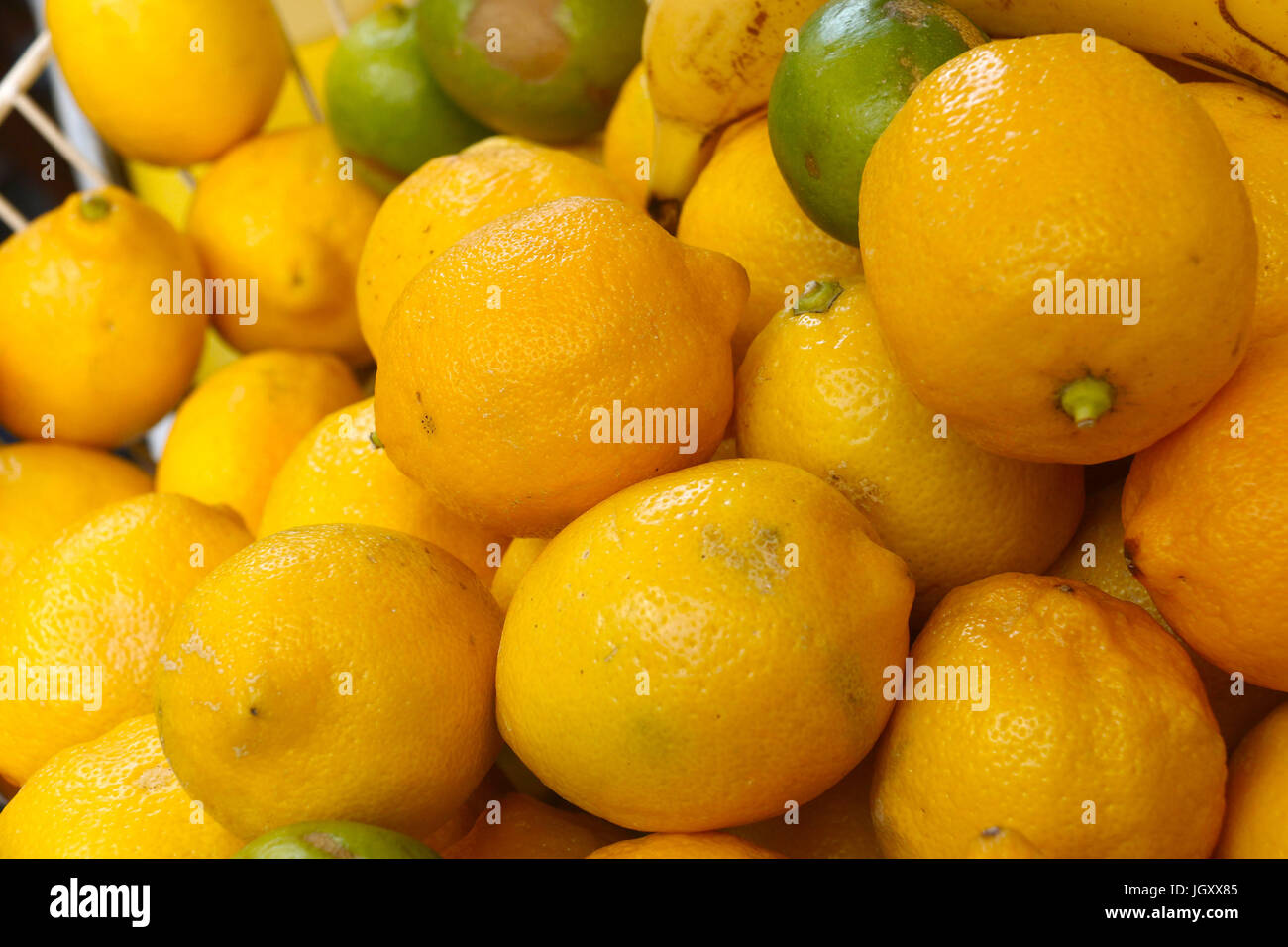 Yellow lemons and green limes in a basket Stock Photo
