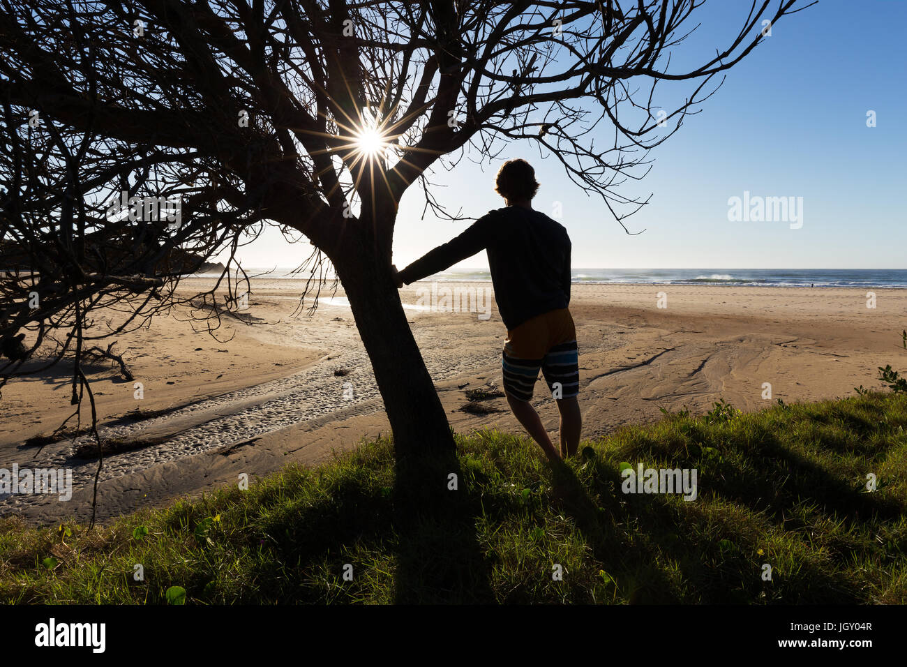 A silhouetted man leans on a tree as the morning sun beams through the branches at a surf beach in Port Macquarie, Australia. Stock Photo
