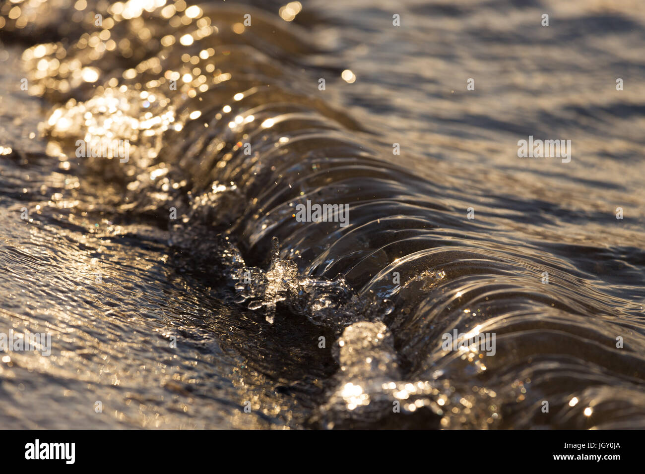 A small golden wave crashes on the sand at sunrise. Stock Photo