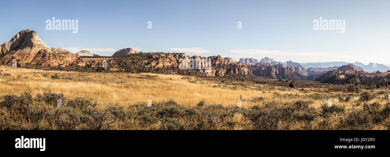 Panoramic view, Zion National Park, Springdale, Utah, USA Stock Photo