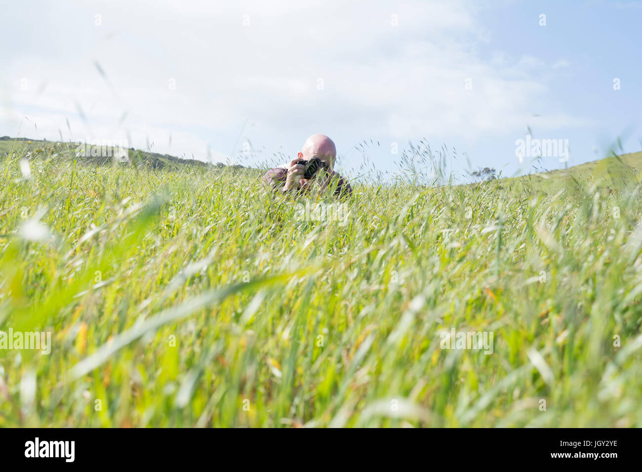 Stalking middle aged male photographer hiding in the long grass and taking a picture. Stock Photo
