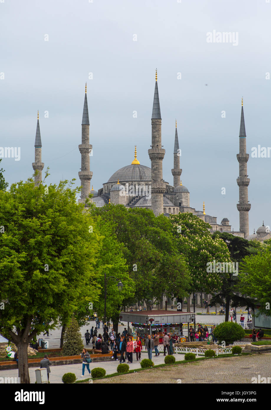 Gardens in front of the the Blue mosque sultan Ahmet Camii, Marmara ...