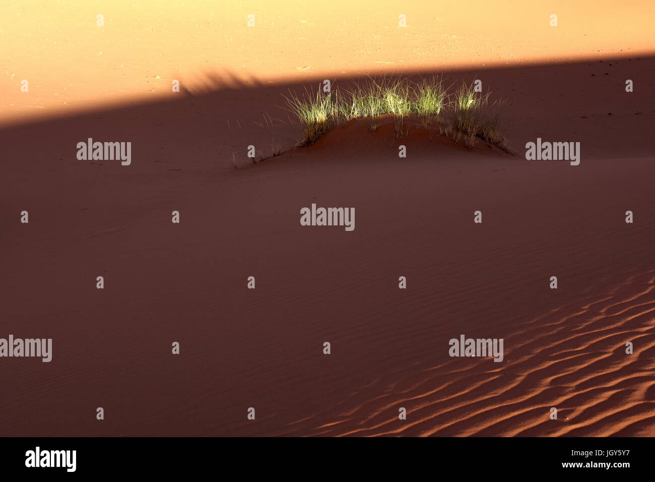 Sahara sand dune at Sunset Stock Photo - Alamy