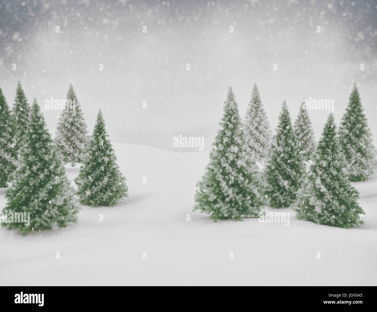 Winter scene snow blue sky and green pine trees Stock Photo - Alamy