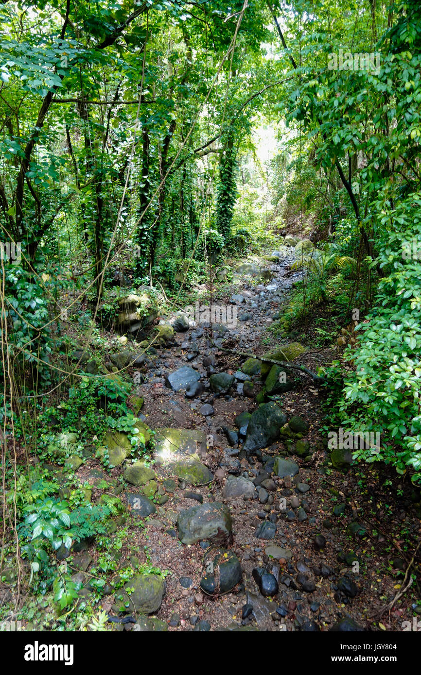 Wingfield Estate, St Kitts, Caribbean, West Indies Stock Photo Alamy