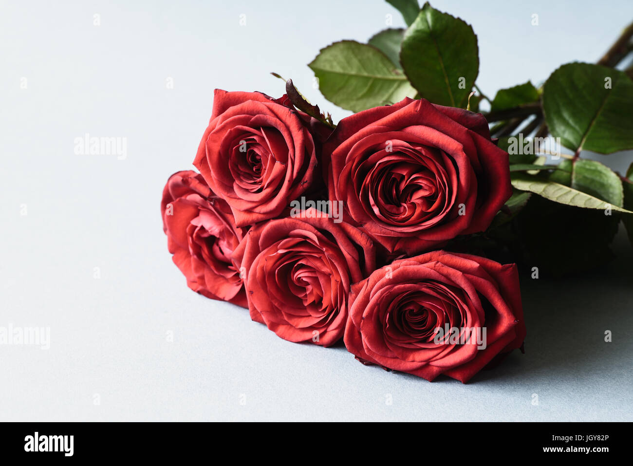 Red roses, a bouqet on a light blue background Stock Photo