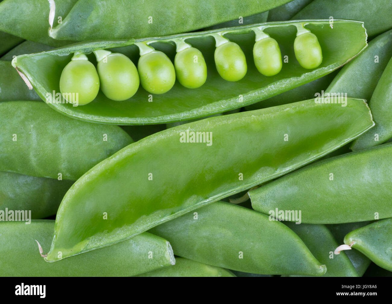 pea pod open revealing the peas inside Stock Photo