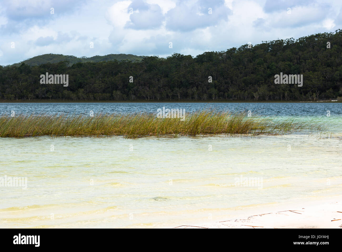 McKenzie Lake, Fraser Island, UNESCO World Heritage Site, Queensland, Australia. Stock Photo