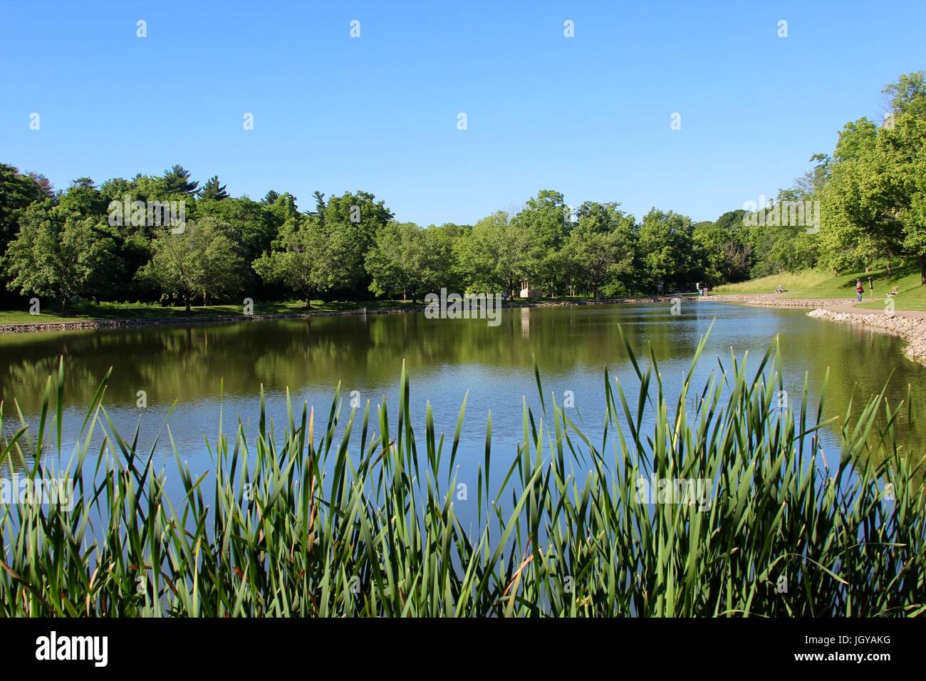 The lake and the other sites in the local county park Stock Photo - Alamy
