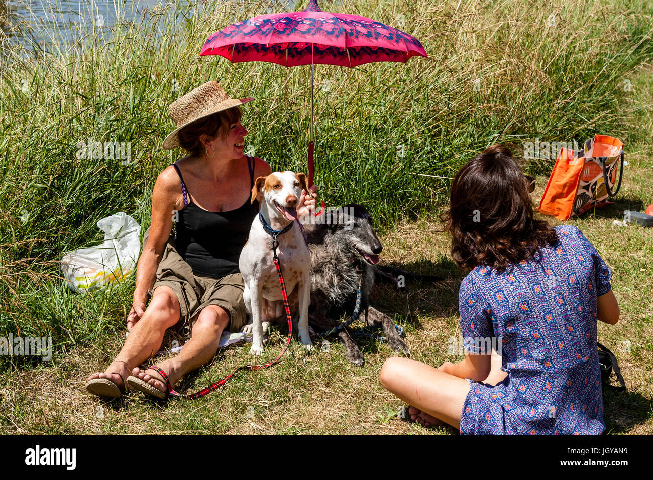 Woman two dogs sit hi-res stock photography and images - Alamy