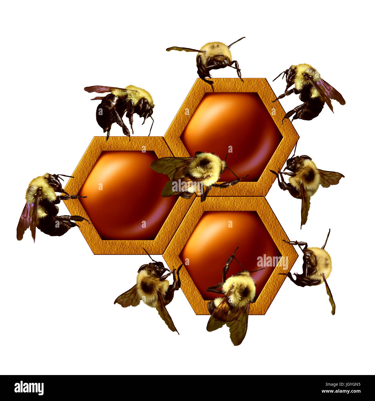 Teamwork project concept as a group of working bees cooperating as a coordinated team constructing a geometrical honey comb as a business. Stock Photo