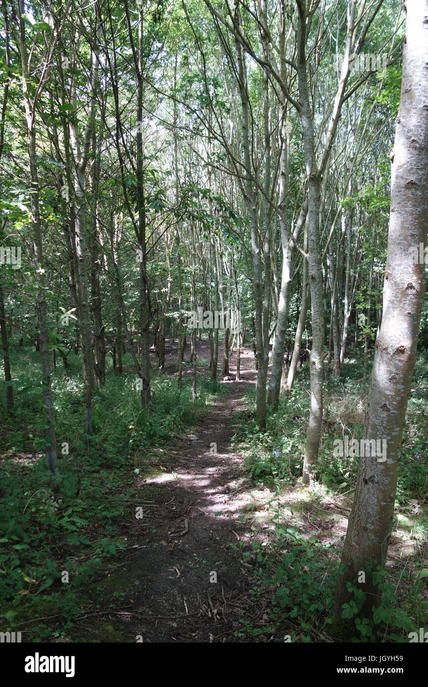 shipston on stour Stock Photo Alamy