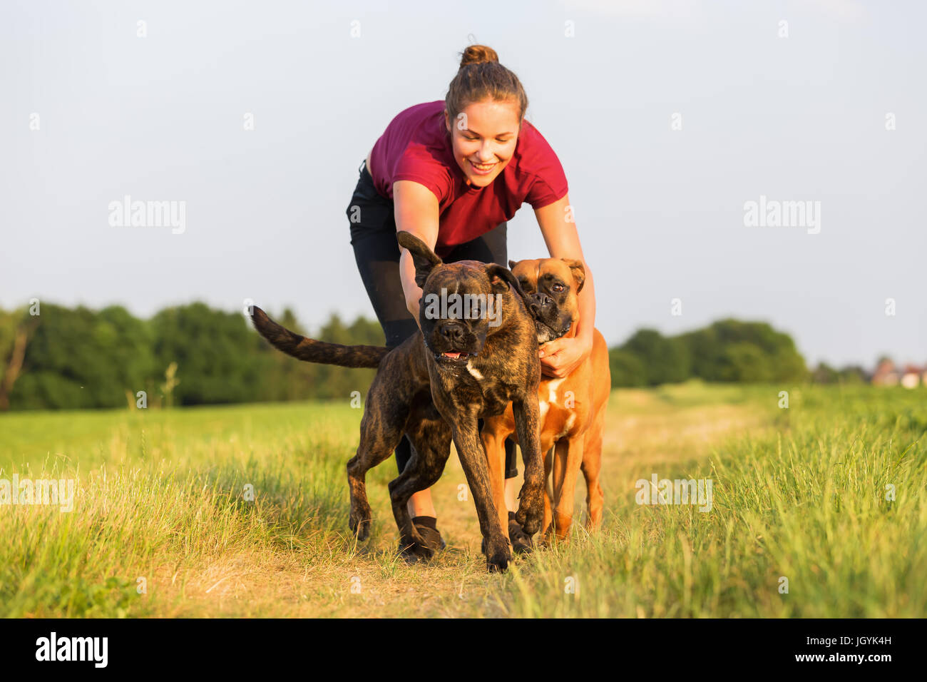 young girl plays with two boxer dogs on a country path Stock Photo - Alamy