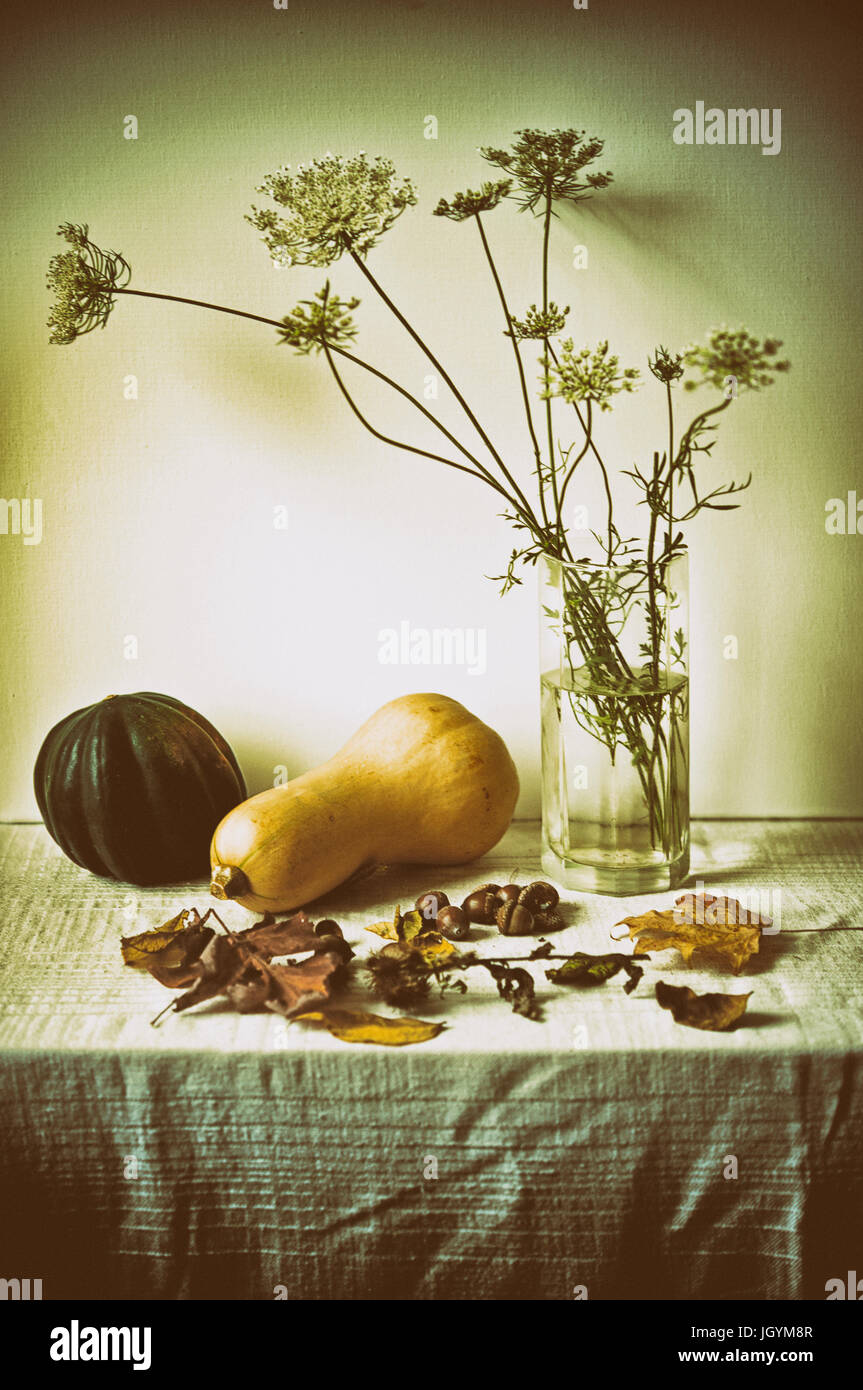 Still life with squash and vase with field flowers Stock Photo