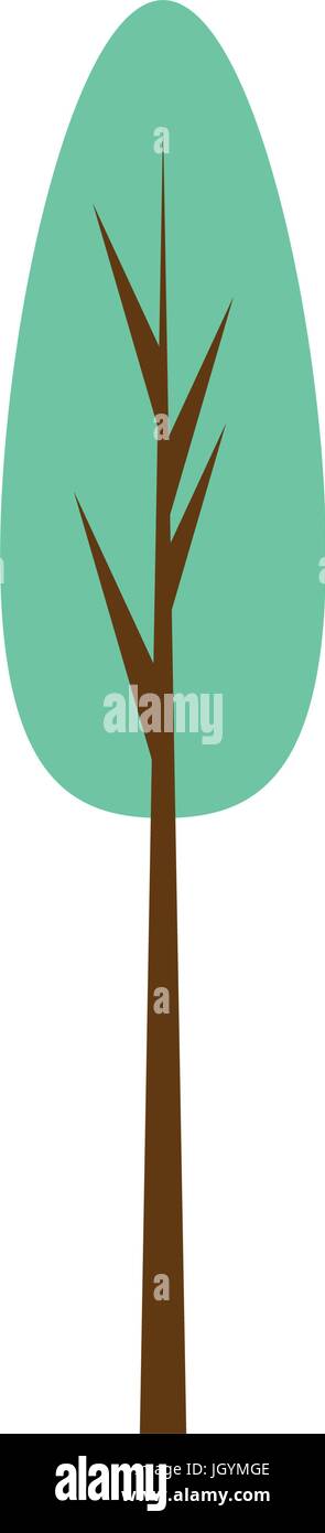 Tree isolated symbol icon vector illustration graphic design Stock ...