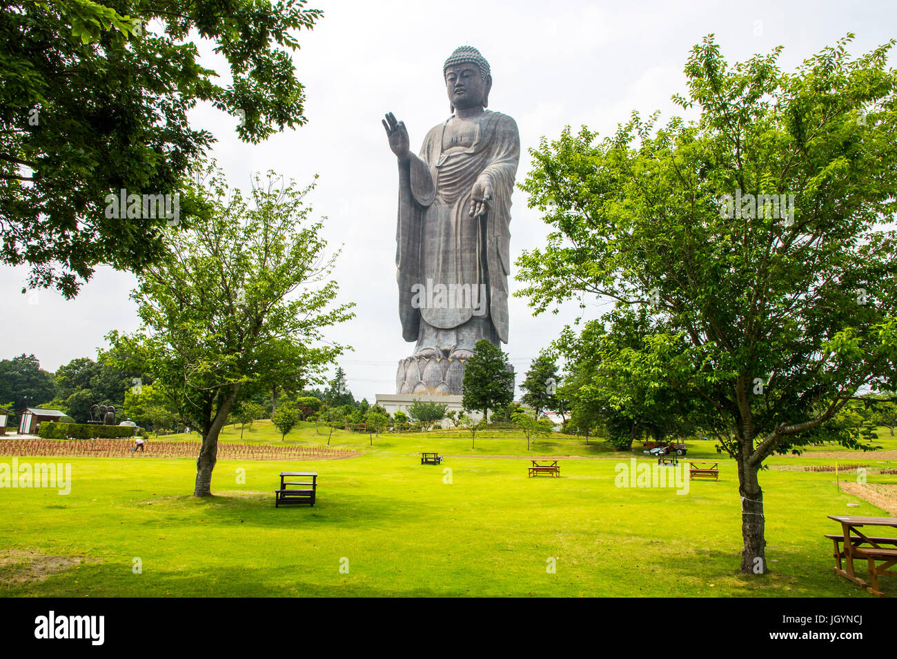 Full view of the Great Buddha of Ushiku, Japan. One of the tallest