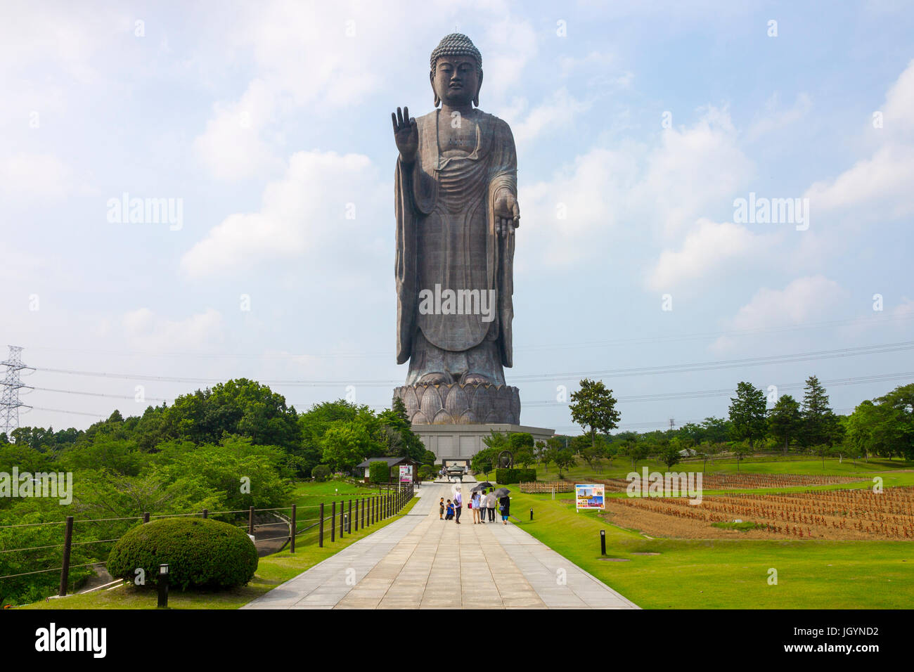 Full view of the Great Buddha of Ushiku, Japan. One of the tallest