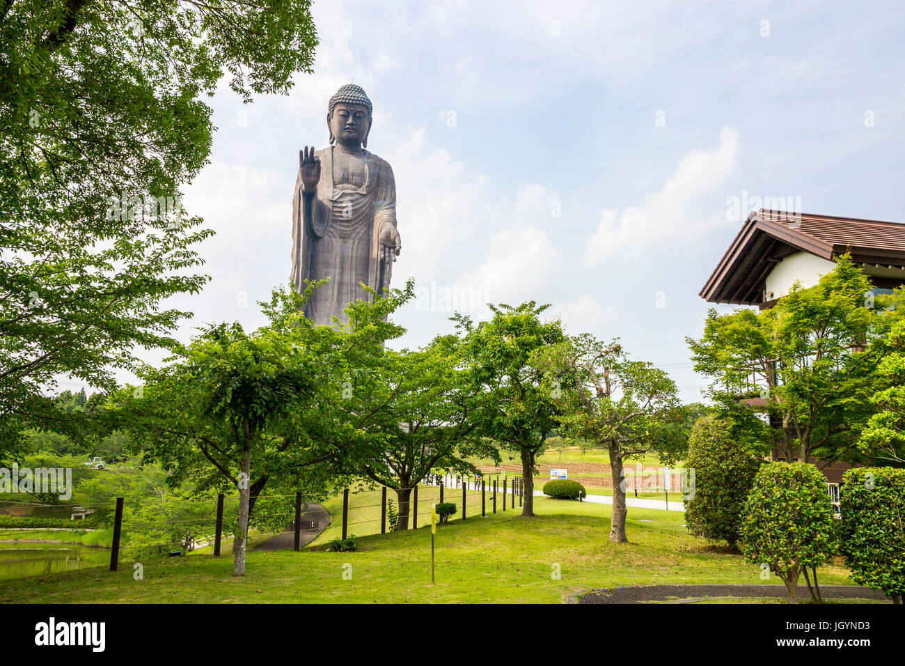 Full view of the Great Buddha of Ushiku, Japan. One of the tallest