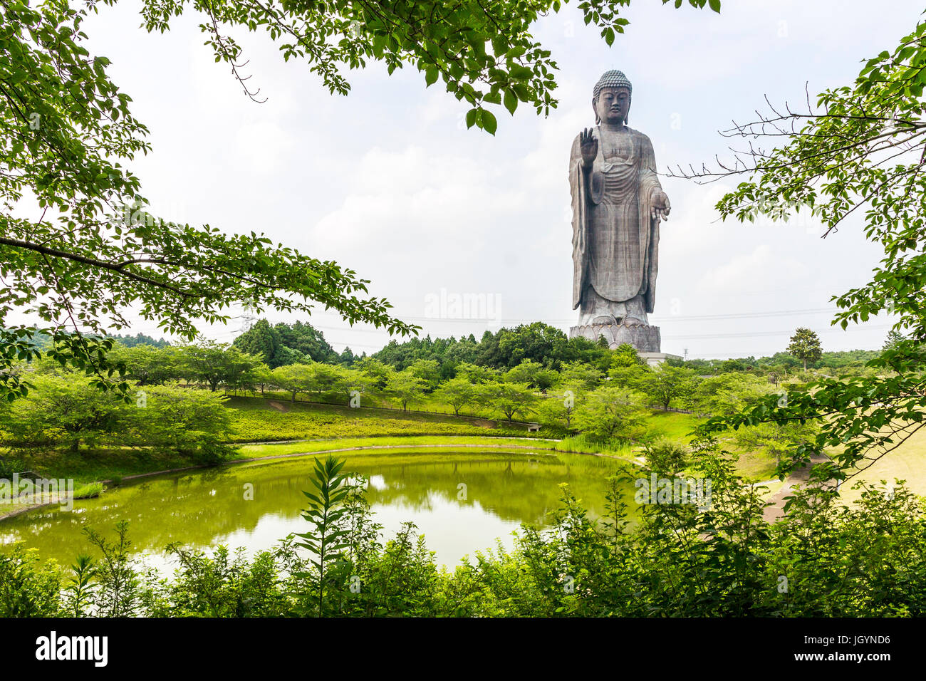 Full view of the Great Buddha of Ushiku, Japan. One of the tallest