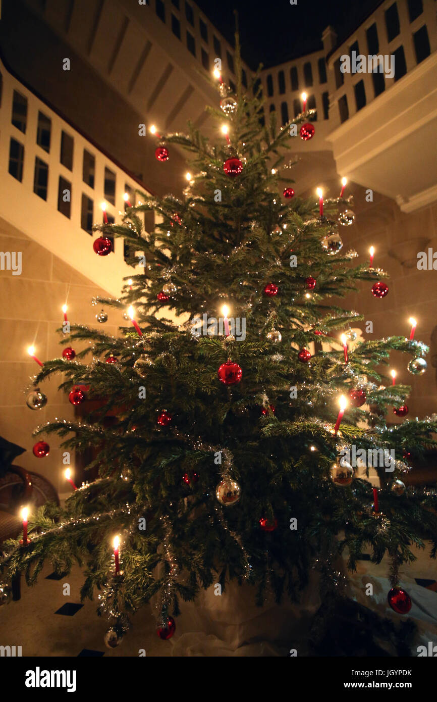 Christmas tree.  Geneva. Switzerland. Stock Photo