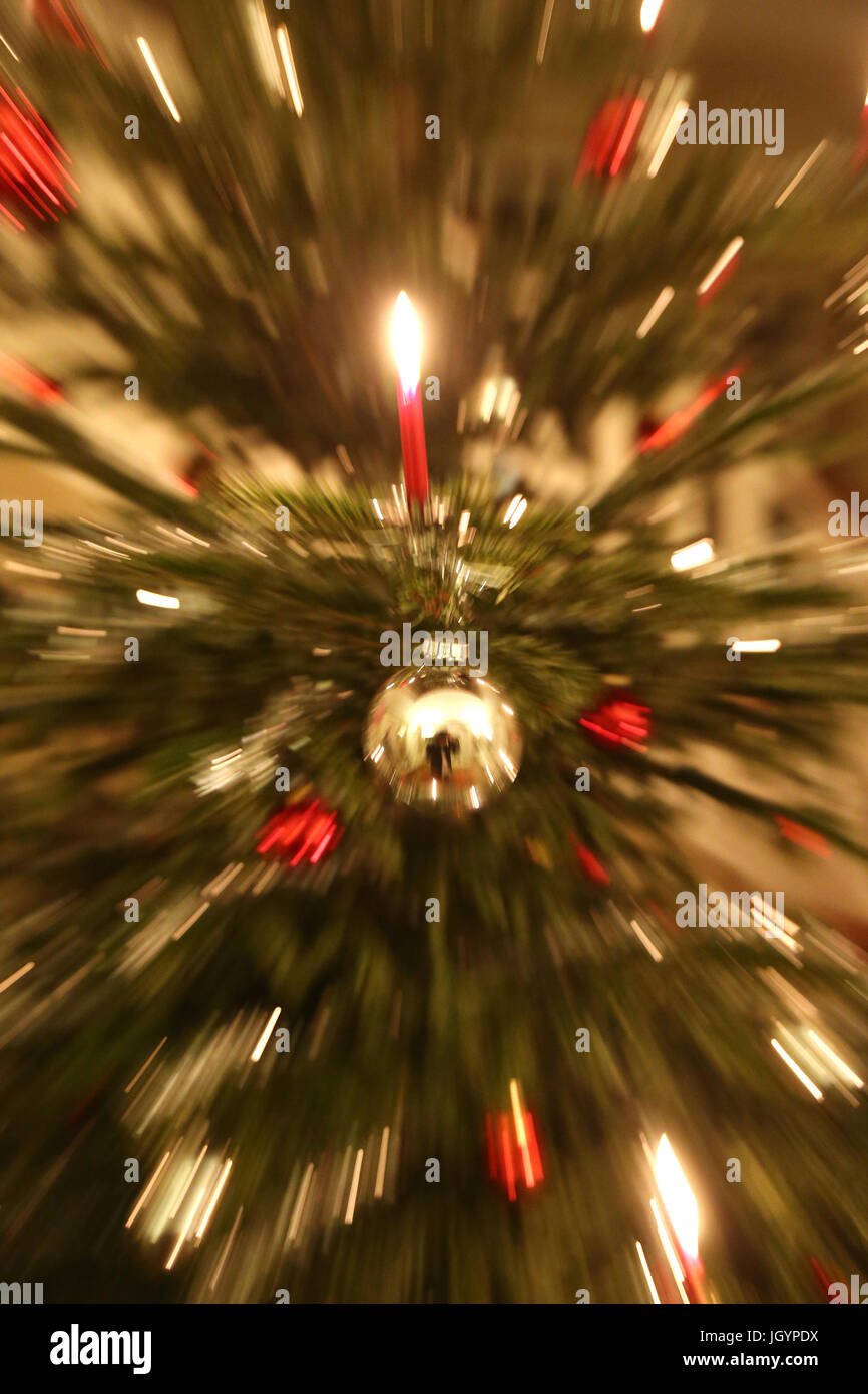 Christmas tree.  Geneva. Switzerland. Stock Photo