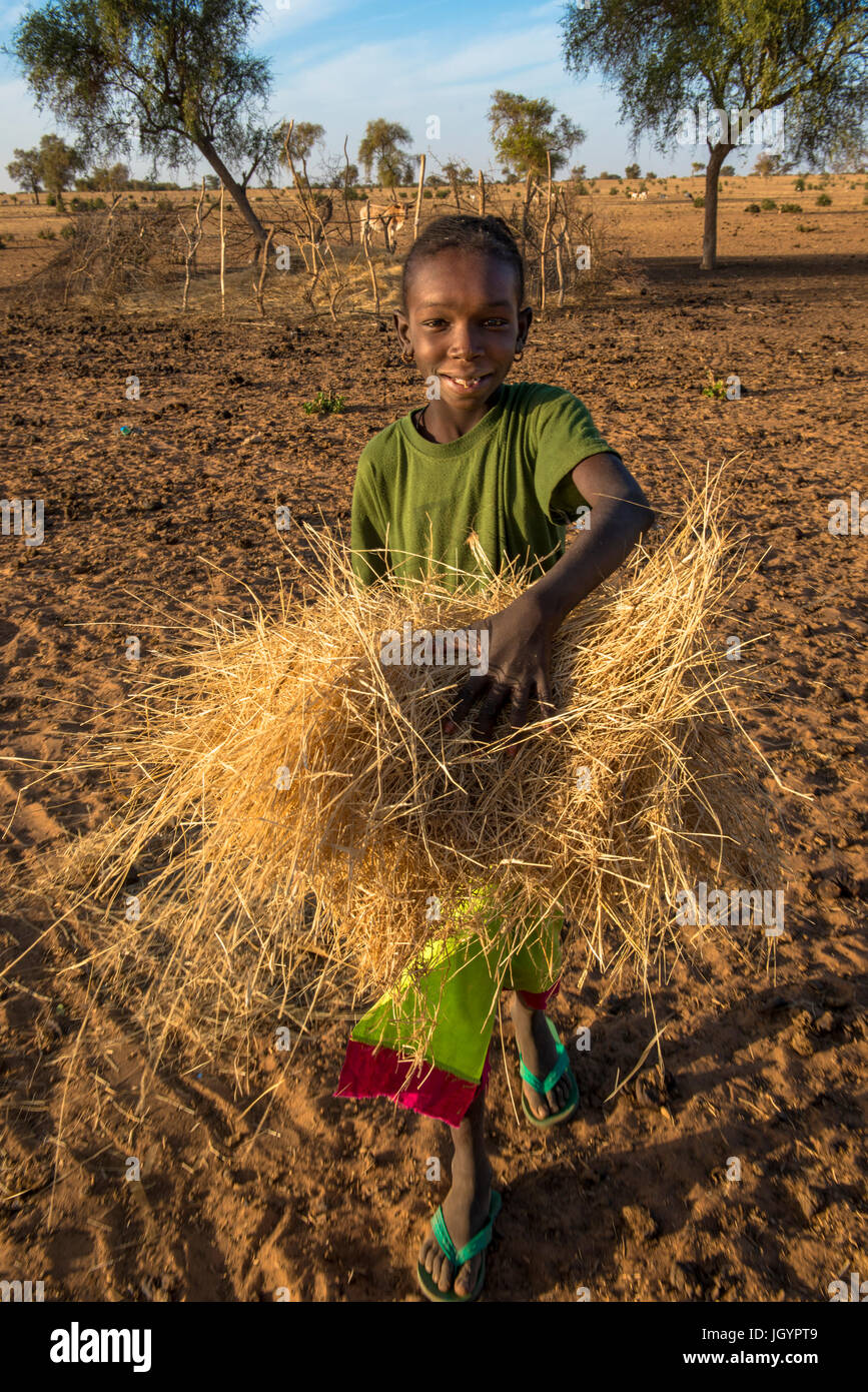 Peul girl carrying fodder. Senegal. Stock Photo