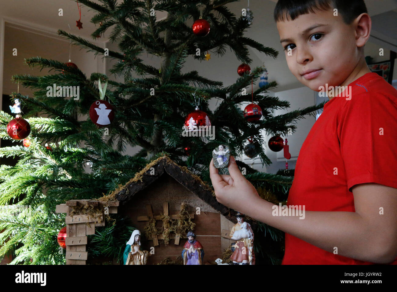 10-year-old boy laying a Christmas nativity scene. France. Stock Photo