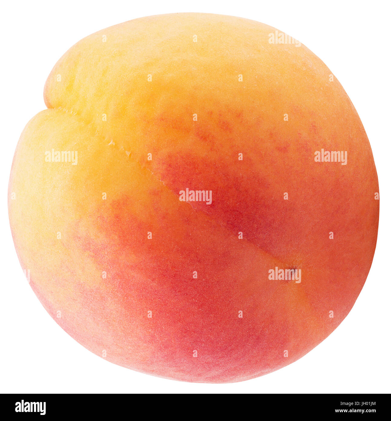apricot isolated on a white background Stock Photo - Alamy