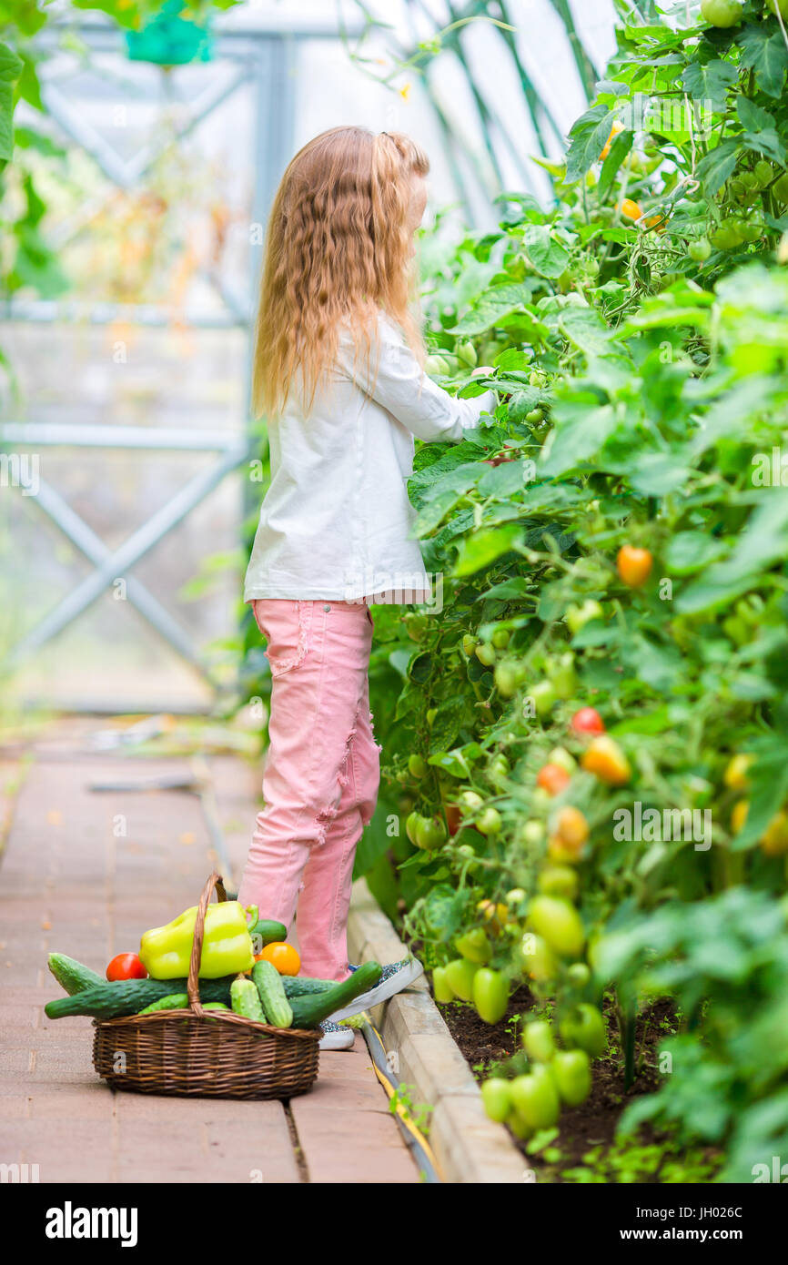 Adorable little girl harvesting in greenhouse. Cute kid with the big ...