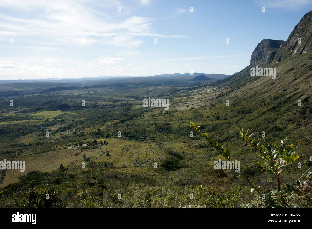 Forest, Landscape, Vale do Paty, Chapada Diamantina, Bahia, Brazil