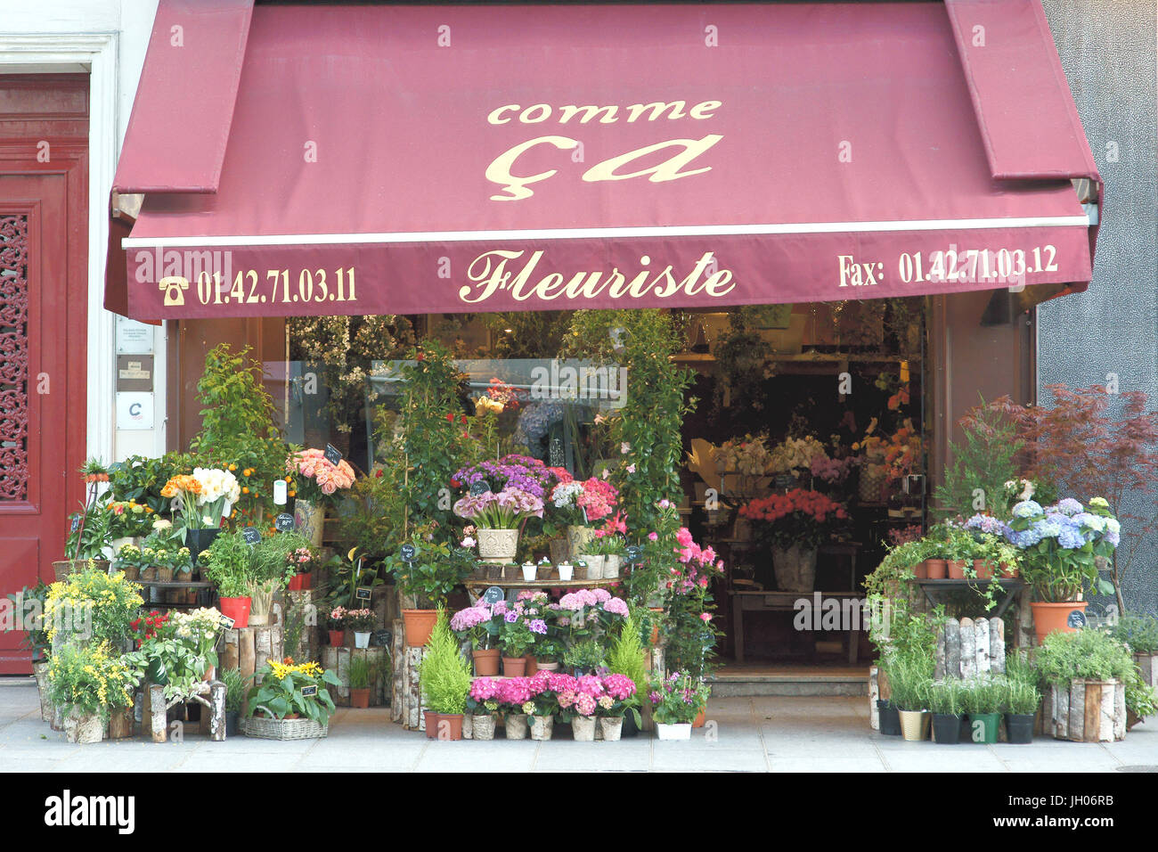 Floriculture, Rue Saint-Antoine, 4ème arrondissement, (75004), Paris, France Stock Photo