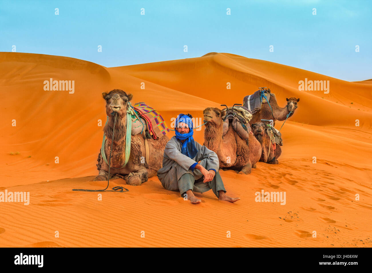 Camels driver between desert dunes (Sahara) Stock Photo