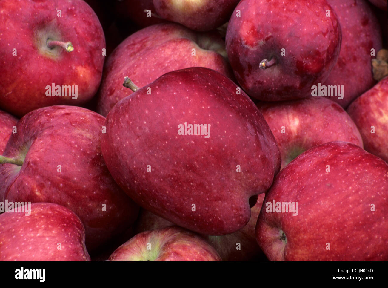 Produce stand red delicious apples, Chelan County, Washington Stock Photo Alamy