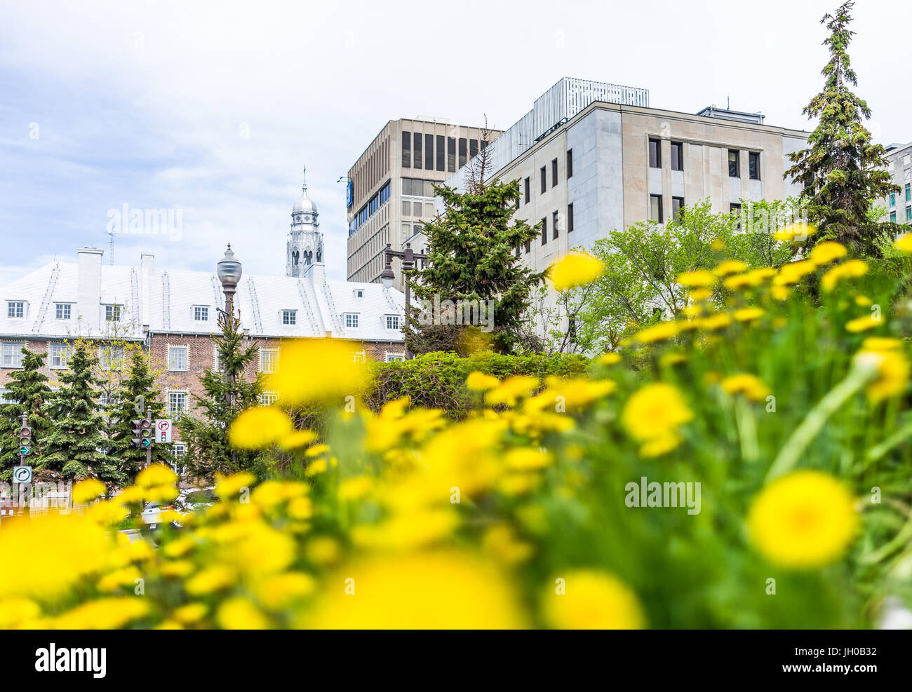 Quebec City, Canada - May 29, 2017: Old town church building and RBC bank sign by Avenue Honore-Mercier street and yellow dandelions in summer Stock Photo