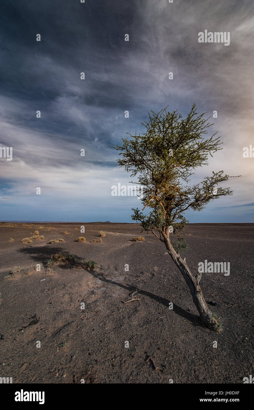 landscape of black desert near Merzouga, Morocco Stock Photo