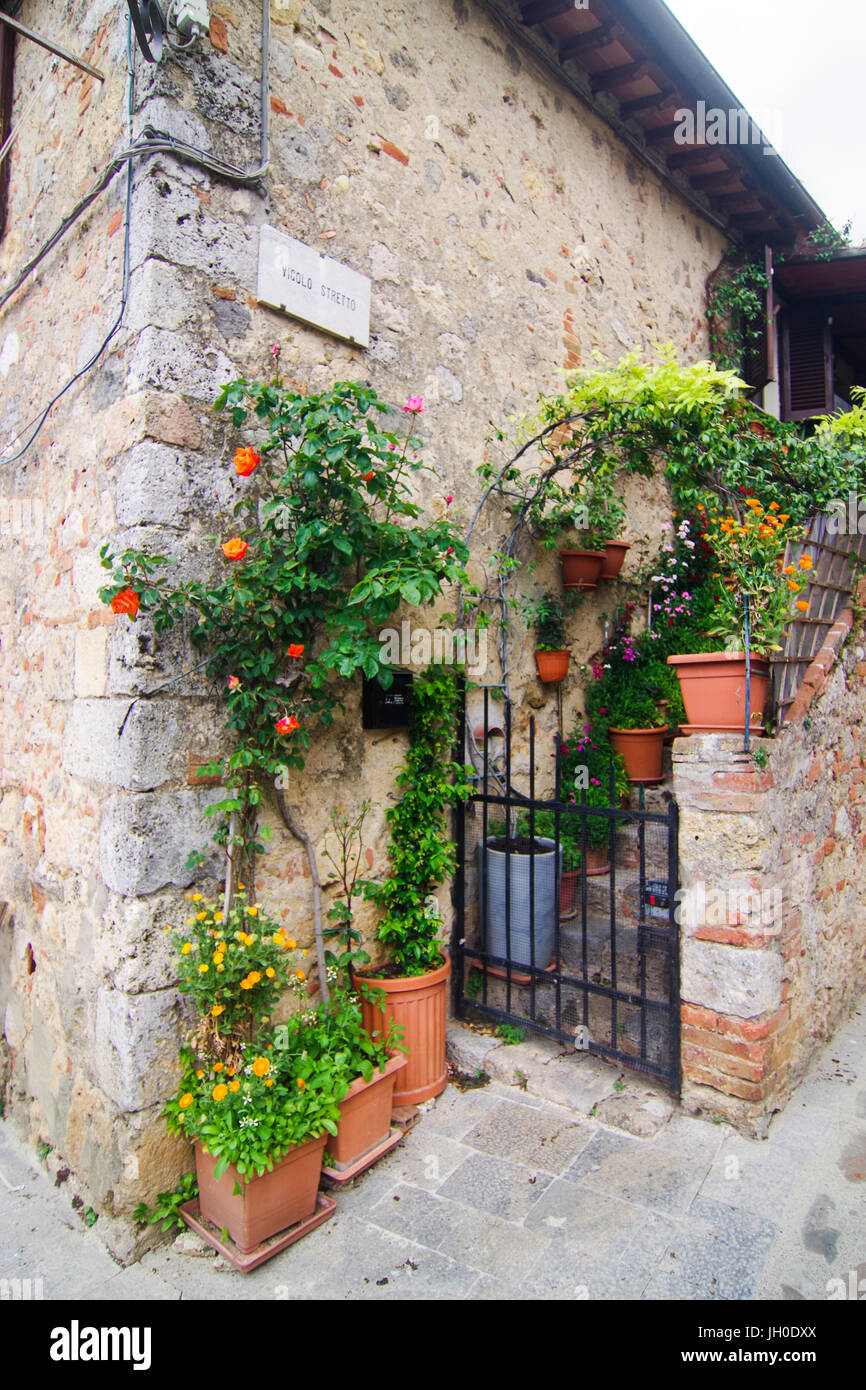 Stone walls with staircase and garden pots with green plants Stock Photo