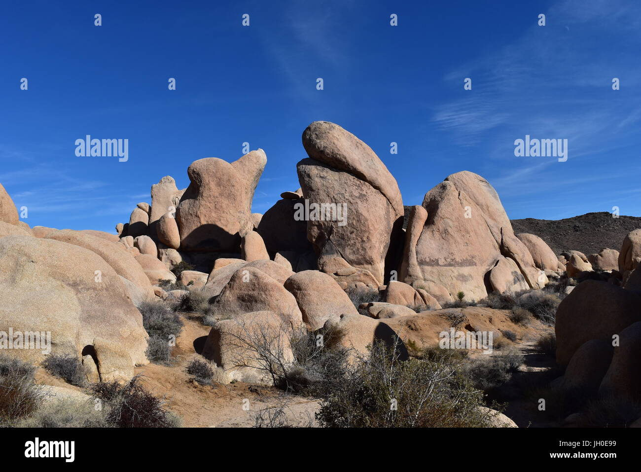 Whale Rock, Joshua Tree National Park Stock Photo Alamy