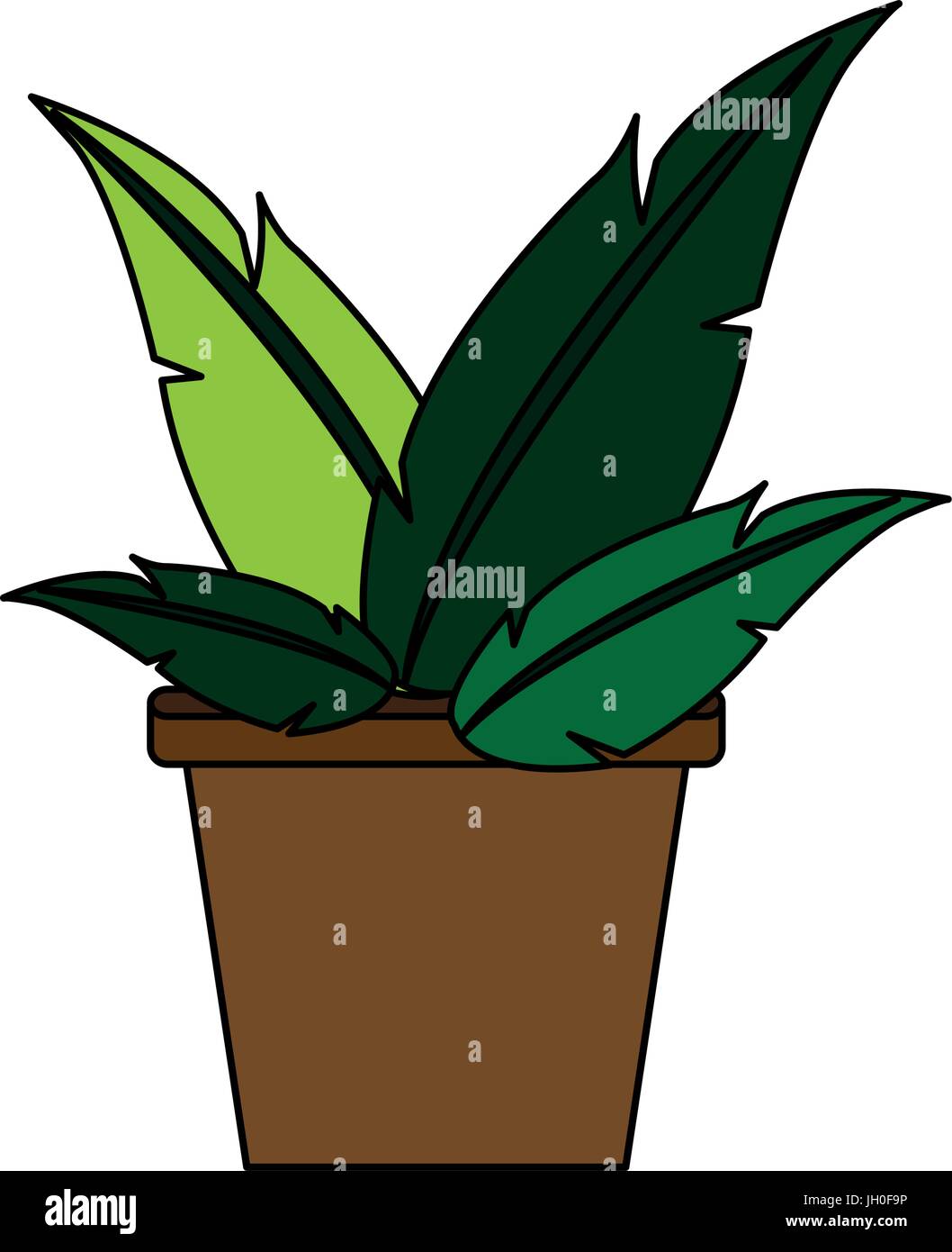 plant in pot vector illustration Stock Vector Image & Art - Alamy