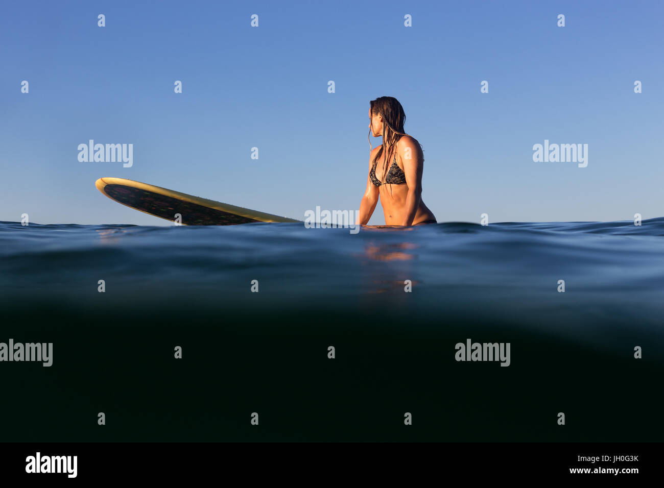 A beautiful female surfer sits on her surfboard in the evening light on the Pacific Ocean. Stock Photo