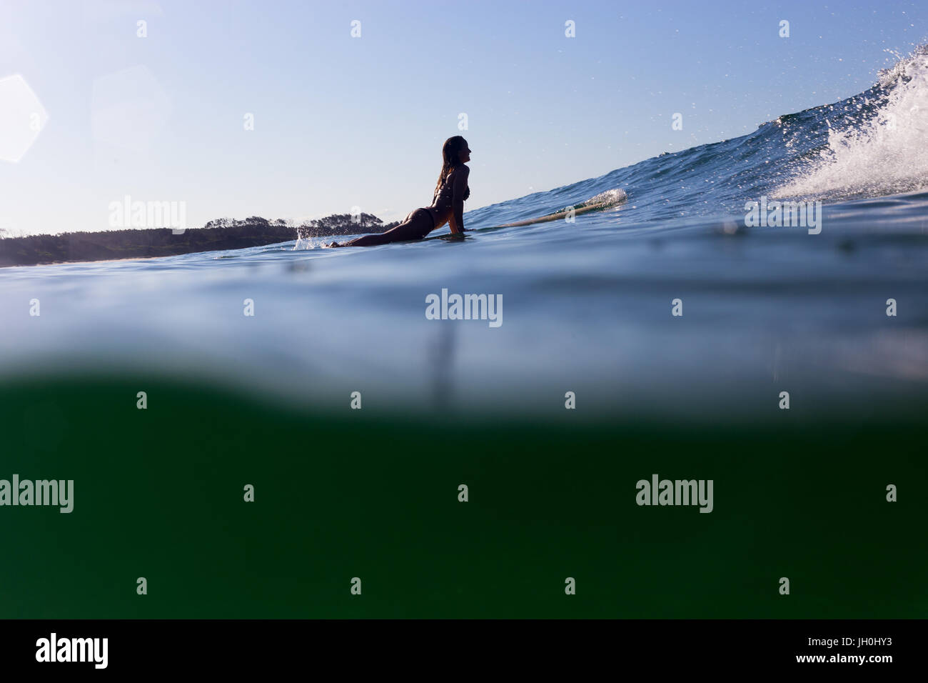 A surfer is back lit by the evening light as she paddles over a cresting wave. Stock Photo