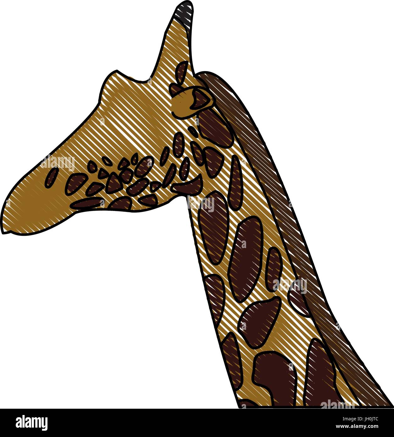 head giraffe animal herbivore african wildlife Stock Vector Image & Art