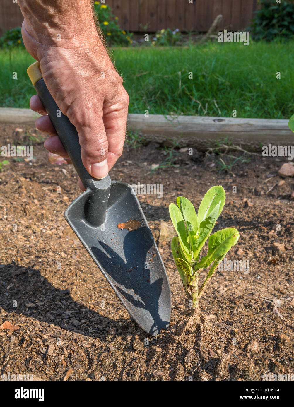Black man digging with spade hi-res stock photography and images - Alamy